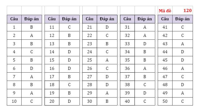 Gợi ý đáp án các mã đề thi môn Toán Kỳ thi tốt nghiệp THPT 2022 ảnh 6