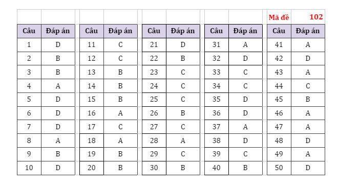 Gợi ý đáp án các mã đề thi môn Toán Kỳ thi tốt nghiệp THPT 2022 ảnh 2