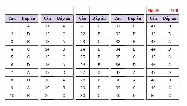 Gợi ý đáp án các mã đề thi môn Toán Kỳ thi tốt nghiệp THPT 2022 ảnh 7