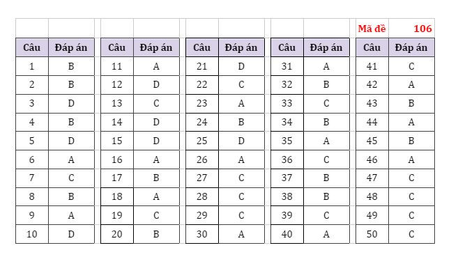 Gợi ý đáp án các mã đề thi môn Toán Kỳ thi tốt nghiệp THPT 2022 ảnh 5