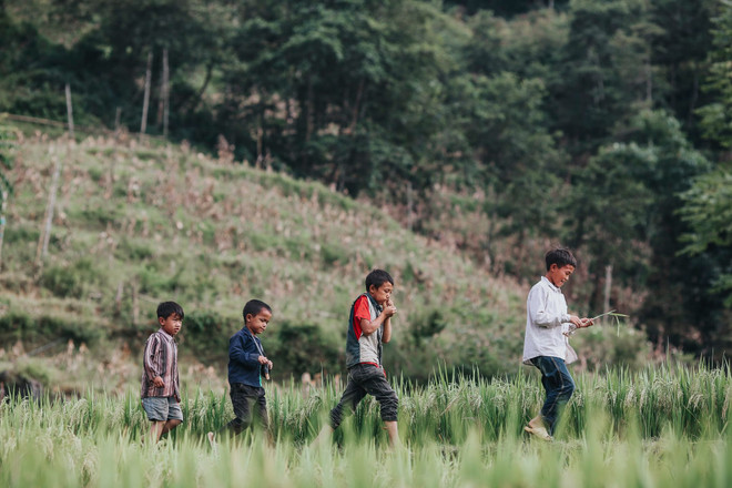 Cái Tết của những ''ông bố nhí'' trên đỉnh trời Simacai ảnh 1