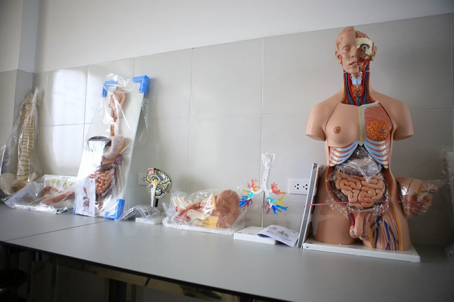 Bộ Giáo dục: “Bộ cấp phép khi trường đã bổ sung đủ điều kiện mở ngành" ảnh 2