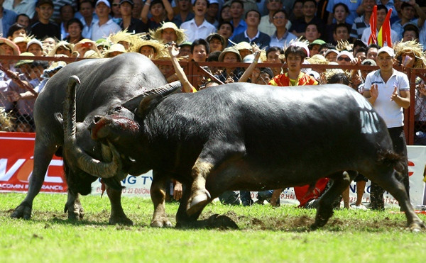 Câu chuyện lễ hội: “Bao giờ cho hết những vòng… quẩn quanh?” ảnh 3