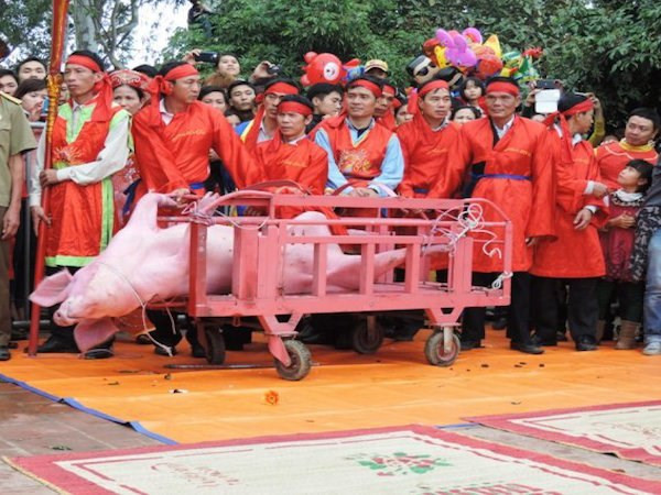 Chém lợn, đâm trâu: Cuộc tranh luận về lễ hội chưa có hồi kết ảnh 2