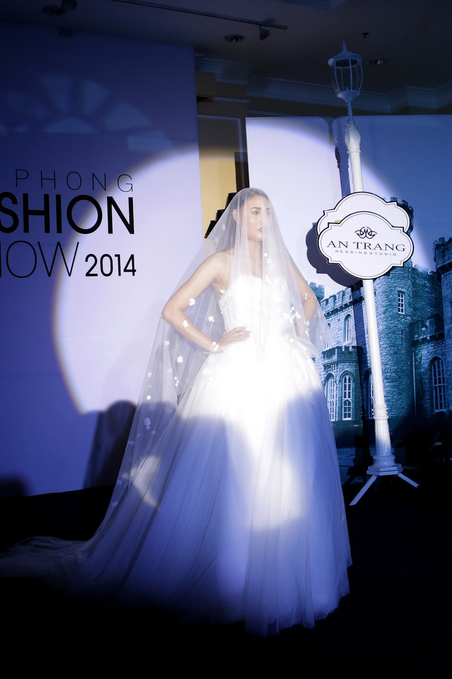 Đa dạng các sắc màu thời trang tại Hải Phòng Fashion Show 2014 ảnh 5