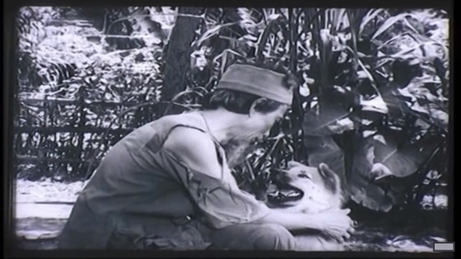 Nhà phê bình Phạm Xuân Nguyên: Tôi vẫn muốn được xem phim 'Cậu Vàng' ảnh 1