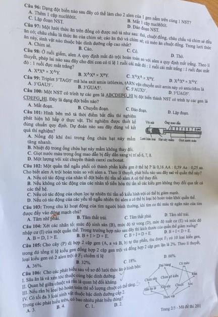 Thi THPT quốc gia 2019: Gợi ý đáp án môn Sinh học ảnh 3