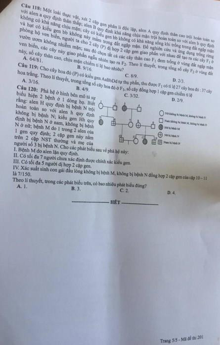 Thi THPT quốc gia 2019: Gợi ý đáp án môn Sinh học ảnh 6
