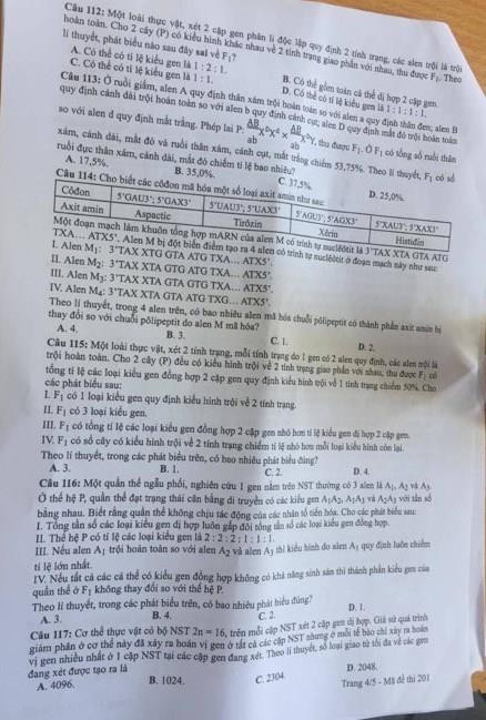 Thi THPT quốc gia 2019: Gợi ý đáp án môn Sinh học ảnh 5