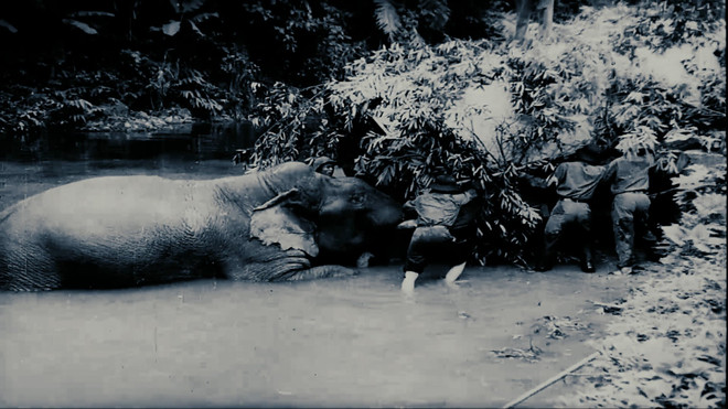 ‘Con đường đã chọn’: Tái hiện quá khứ hào hùng qua phim tài liệu ảnh 1