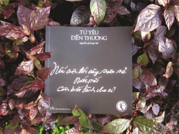 Sáng tác của Nguyễn Nhật Ánh tiếp tục lọt top sách bán chạy nhất ảnh 9