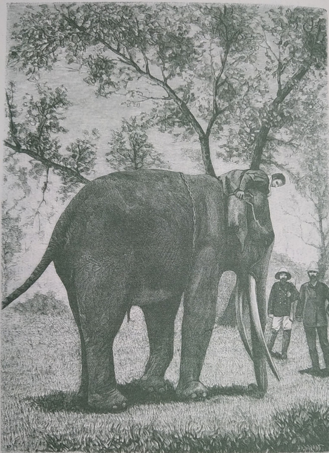 Miền Bắc Việt Nam thế kỷ 19 qua ống kính bác sỹ quân y người Pháp ảnh 2