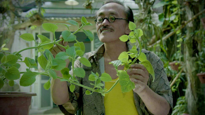 Rời xa cõi tạm, lão nông Giang ‘còi’ đã về với khu vườn riêng của mình ảnh 1