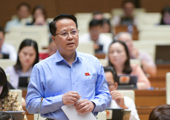 Đại biểu Quốc hội: Kỳ vọng vào thế trận an ninh nhân dân tại địa bàn ảnh 3