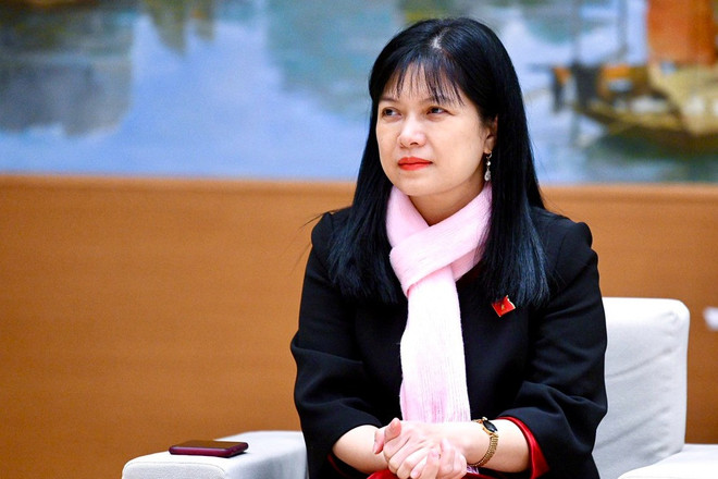 Đại biểu Quốc hội: 'Tiến độ dự án Sân bay Long Thành quá chậm' ảnh 2