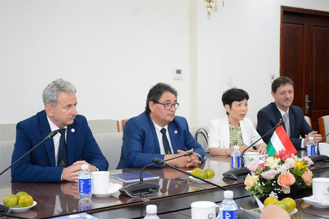 Đại sứ Hungary tại Việt Nam Tibor Baloghdi và Hiệu trưởng Đại học Semmelweis University Bela Merkely tại buổi tiếp. (Ảnh: PV/Vietnam+) hungary.jpeg