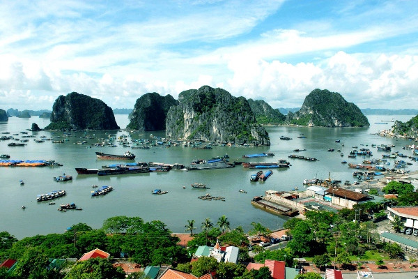 Quản lý di sản: Vẫn kiểu "có nhà nhưng không thể tự quyết"! ảnh 2