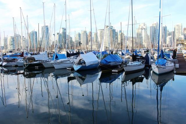 Theo chân nghệ sỹ nhiếp ảnh Trần Mạnh Thường 'đi vòng quanh thế giới' ảnh 5