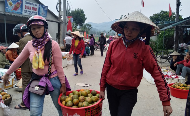 Cam bù: Sản phẩm nông nghiệp chủ lực của vùng núi Hương Sơn ảnh 2