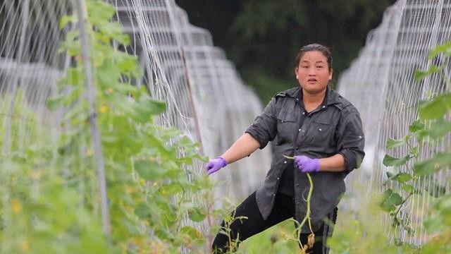 Những thước phim đặc biệt về thân phận cô dâu Việt nơi xứ Đài ảnh 1