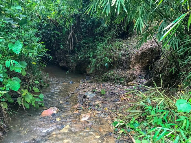 ‘Phát hiện nước nhiễm bẩn nhưng mặc kệ có thể bị truy tố hình sự’ ảnh 1