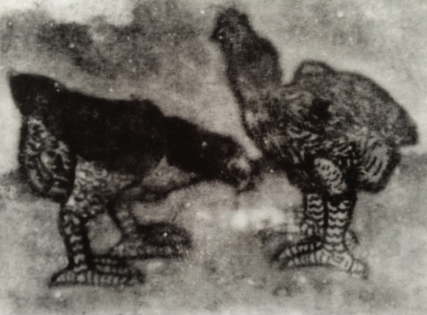 60 năm từ thương hiệu “Chương gà tồ” đến thế giới gà Xuân Đinh Dậu ảnh 2