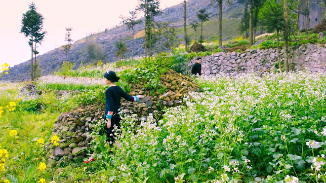 Ca sỹ Vũ Thắng Lợi làm MV về cảnh đẹp trên cao nguyên đá Hà Giang ảnh 1