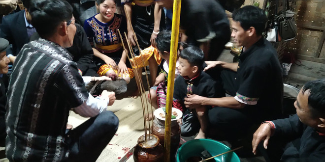 Mỗi gia đình người Khơ Mú ăn Tết Gơ rơ đều phải sắm đủ lễ gồm: một cặp gà, một vò rượu cần, một đĩa cau trầu. (Ảnh: Minh Thu/Vietnam+) Độc đáo nghi lễ thiêng trong Tết Gơ rơ của người Khơ Mú ảnh 1