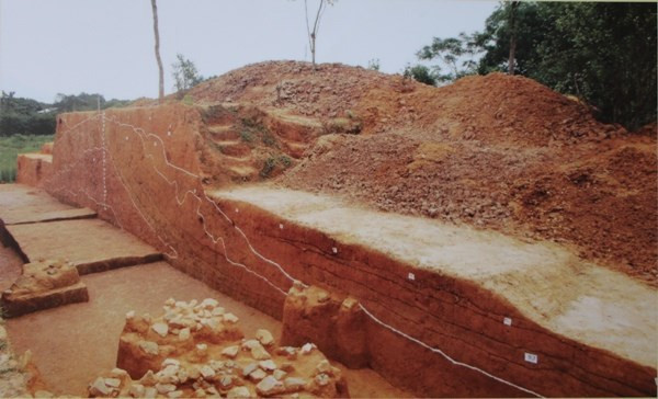 Đầu tư hơn 60 tỷ đồng bảo tồn và phát huy giá trị khu di tích Cổ Loa ảnh 2