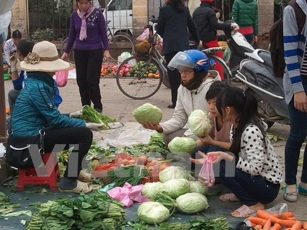 Sở Giáo dục và Đào tạo Hà Nội lên tiếng vụ tuồn rau bẩn vào trường học ảnh 1