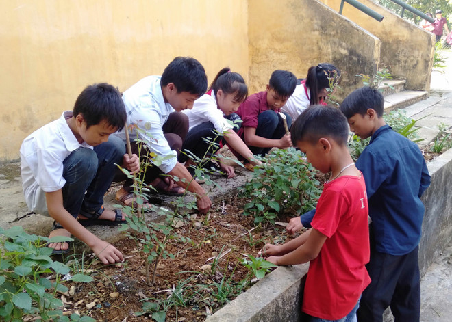 Thầy giáo trẻ hết lòng vì học sinh dân tộc thiểu số người Mông ảnh 2