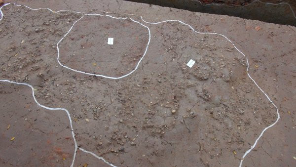 Vén “bức màn” bí ẩn về hành cung Lỗ Giang của nhà Trần ảnh 2