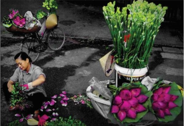 “Chốn quê” và chuyến du ngoạn qua những miền quê Việt ảnh 2