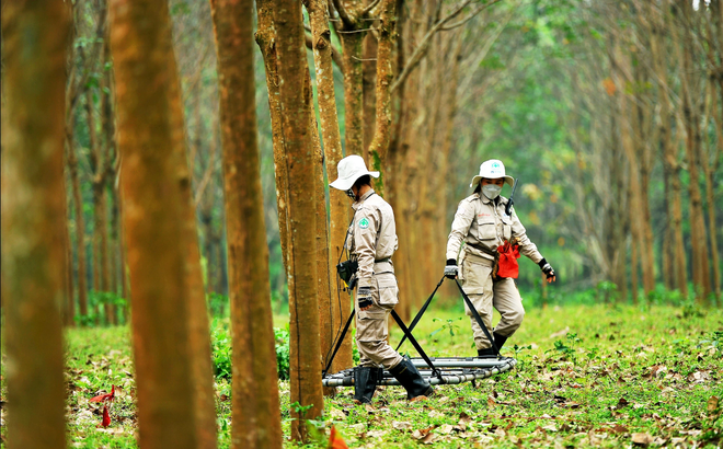 Biệt đội nữ hàn gắn những 'vết sẹo' chiến tranh ở vùng 'đất lửa' ảnh 1