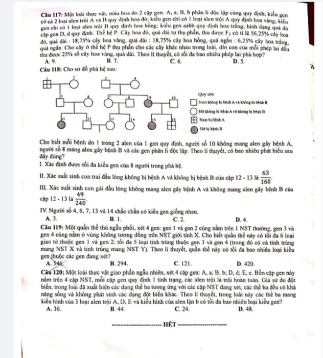 Gợi ý đáp án môn Sinh học kỳ thi Tốt nghiệp Trung học phổ thông 2020 ảnh 5