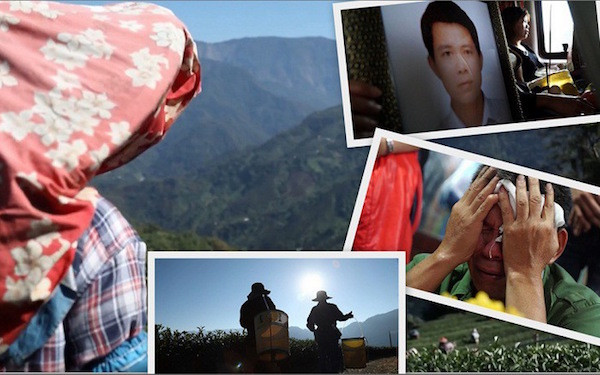 ‘Miền đất hứa’: Ám ảnh số phận người lao động Việt ở Đài Loan ảnh 1