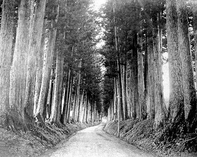 Nhật Bản cuối thế kỷ 19 qua góc nhìn của một nghệ sỹ Pháp ảnh 5