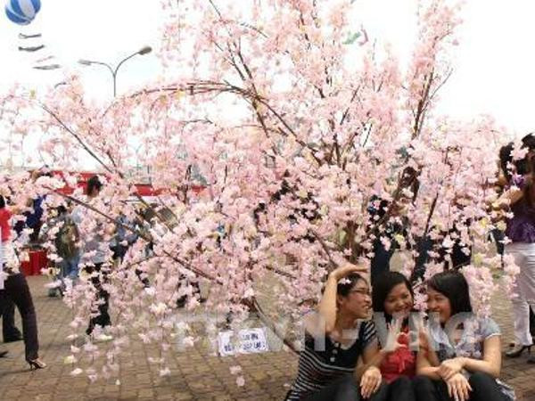 Đến hẹn lại lên, lễ hội hoa anh đào Nhật Bản tổ chức vào 8/3 ảnh 1