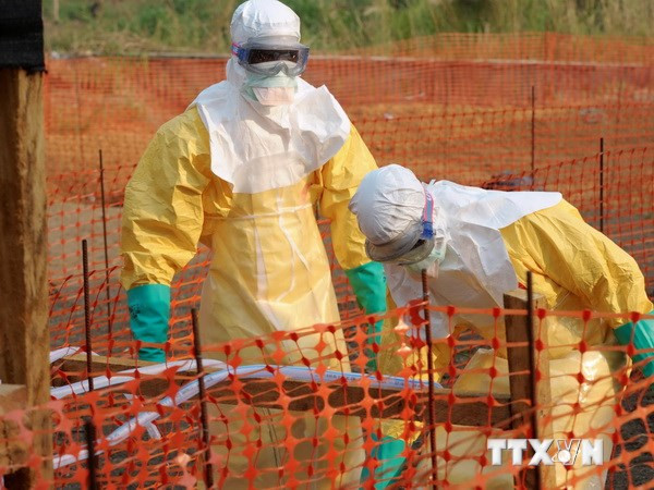 Thủ tướng chỉ đạo thực hiện mọi biện pháp ngăn dịch Ebola ảnh 1