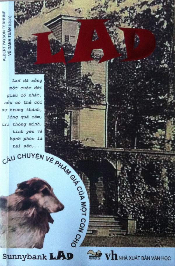 Khóc, cười cùng câu chuyện về cuộc đời một chú chó dòng Ê-cốt ảnh 2