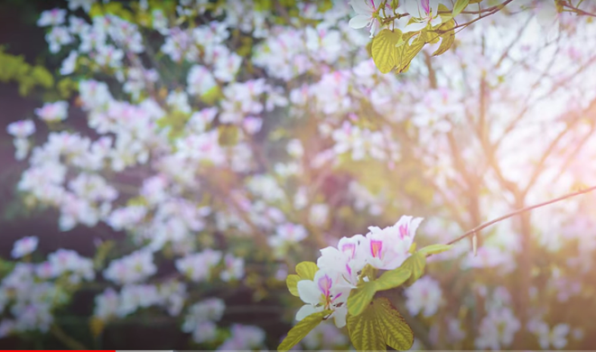 Screenshot 2024-04-08 180028.png