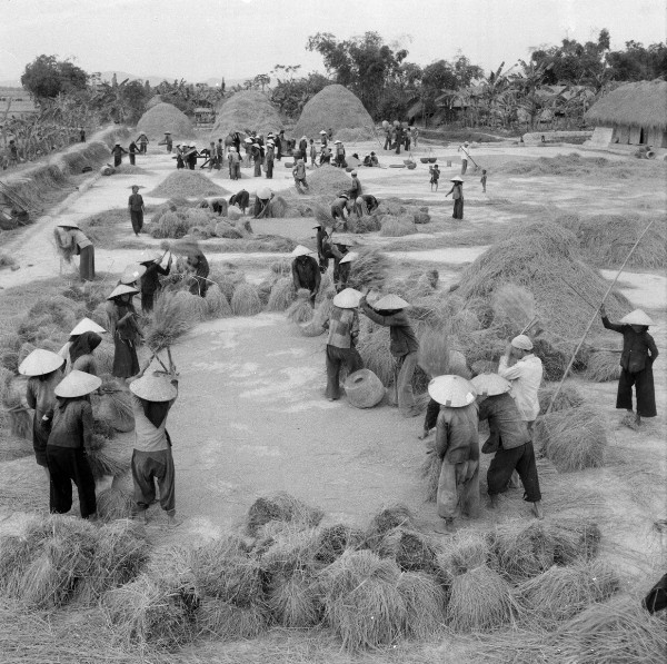 Chủ tịch Hồ Chí Minh với mùa Xuân xây dựng Đảng Cộng sản Việt Nam ảnh 3