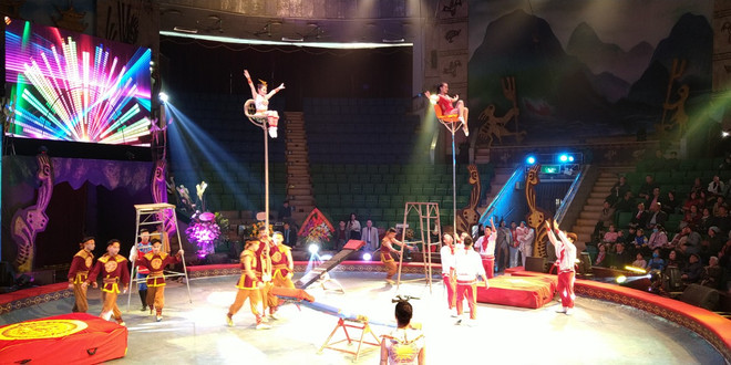 Liên đoàn xiếc Việt Nam hướng tới tăng cường hợp tác quốc tế ảnh 2