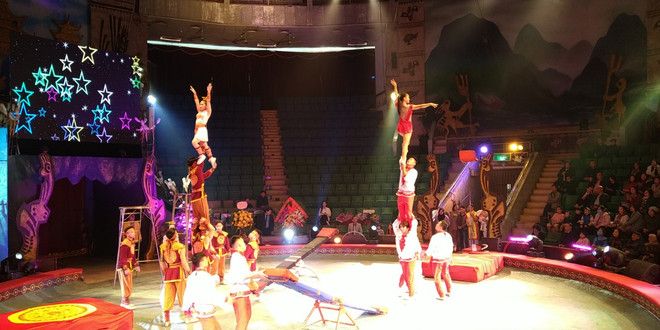 Liên đoàn xiếc Việt Nam hướng tới tăng cường hợp tác quốc tế ảnh 5