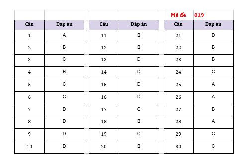 Gợi ý đáp án các mã đề thi môn Lịch sử kỳ thi vào lớp 10 của Hà Nội ảnh 3