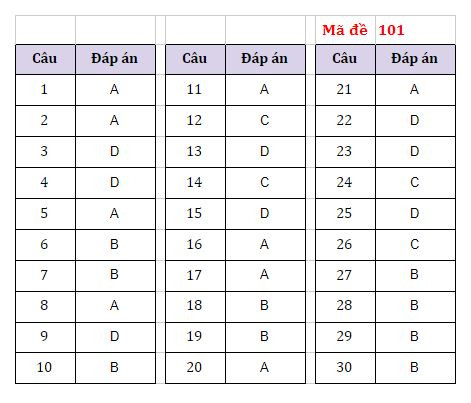Hà Nội: Gợi ý đáp án tất cả các mã đề môn Ngoại ngữ Kỳ thi vào lớp 10 ảnh 2