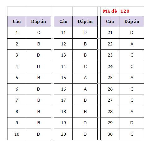 Hà Nội: Gợi ý đáp án tất cả các mã đề môn Ngoại ngữ Kỳ thi vào lớp 10 ảnh 4
