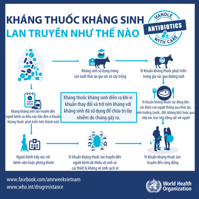 WHO khuyến cáo 5 điểm cần lưu ý khi sử dụng thuốc kháng sinh ảnh 2