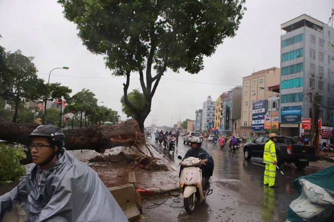 Hà Nội: Lực lượng cứu hộ bất chấp nguy hiểm, cắt sắt mở đường ảnh 53