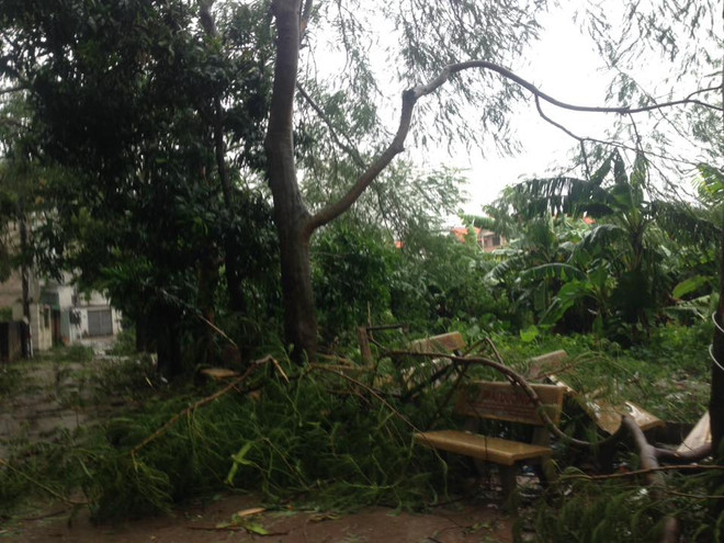 Hà Nội: Lực lượng cứu hộ bất chấp nguy hiểm, cắt sắt mở đường ảnh 30